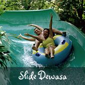 Slide Dewasa