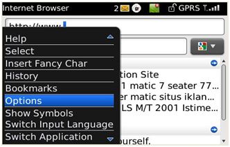 browser option browser option