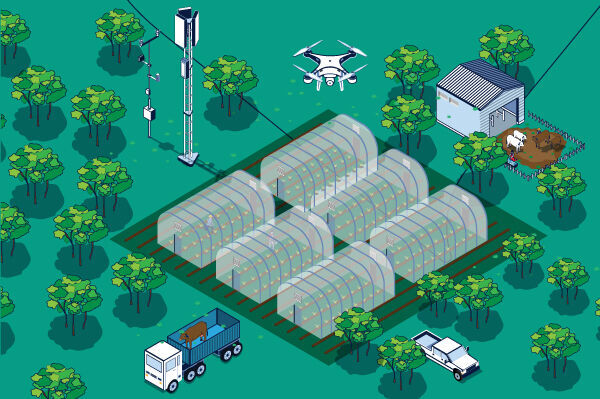 TSEL-Enterprise_Credential-Agrikultur-thumbnail (1)_0.jpg