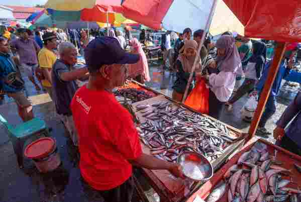 Jual ikan di pasar dalam Kolaborasi Telkomsel ZTE 5G Maritim