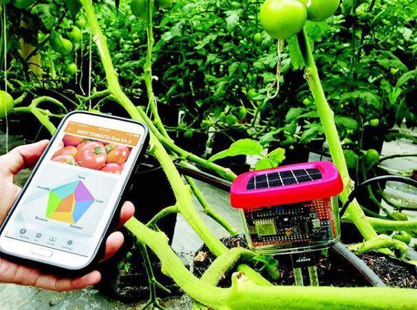 Tiga Aplikasi Jebolan The Nextdev Ini Siap Majukan Industri Pertanian