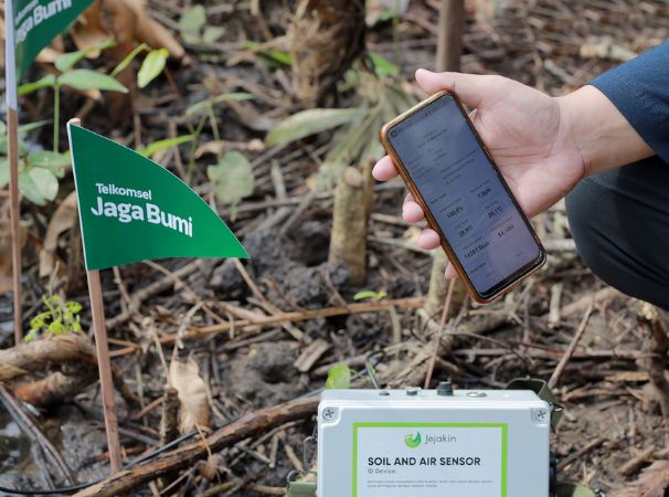 Carbon Offset Mangrove