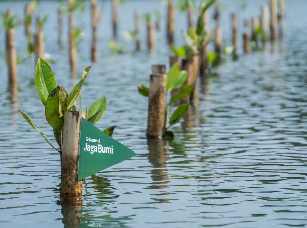 Telkomsel Jaga Bumi Carbon Offset